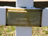 image of grave number 716505